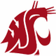 Illustration for article titled Washington State Cougars
